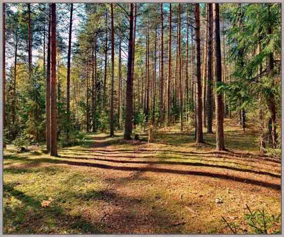 Участок ИЖС 4884 сот. на продажу в Воронеже Воронеж