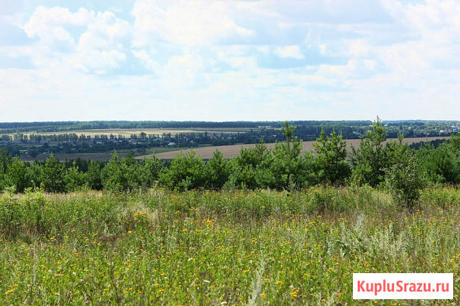 Участок ИЖС 4884 сот. на продажу в Воронеже Воронеж - изображение 3