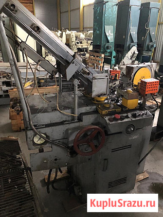 Пастонакладочная машина, сушильная печь консервы Санкт-Петербург - изображение 3