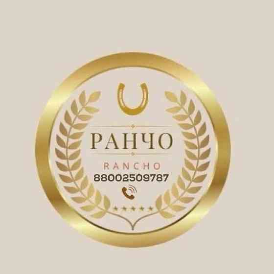 Индюки. Индюшки. Индюшата. Яйцо Псков