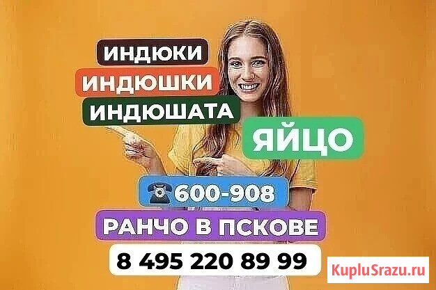 Индюки. Индюшки. Индюшата. Яйцо Псков - изображение 1