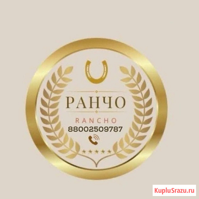 Цыплята. Куры. Петухи. Утки. Индюки Псков - изображение 2