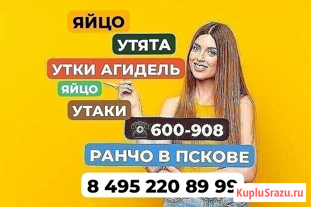 Утки Агидель. Утята. Инкубационное яйцо Псков - изображение 1