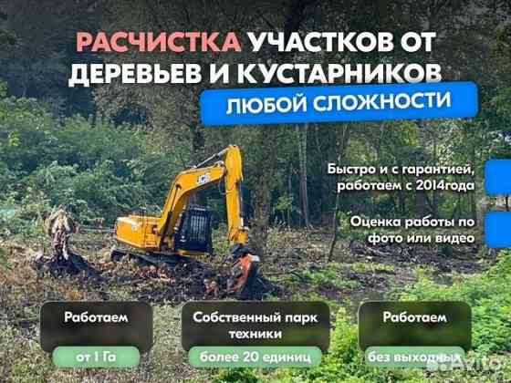 Расчистка территорий от деревьев и пней от 1 Га Владимир