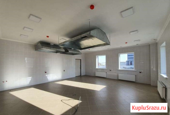 Сдаю площадь 200кв.м под пищевое производство. Собственник Санкт-Петербург - изображение 1