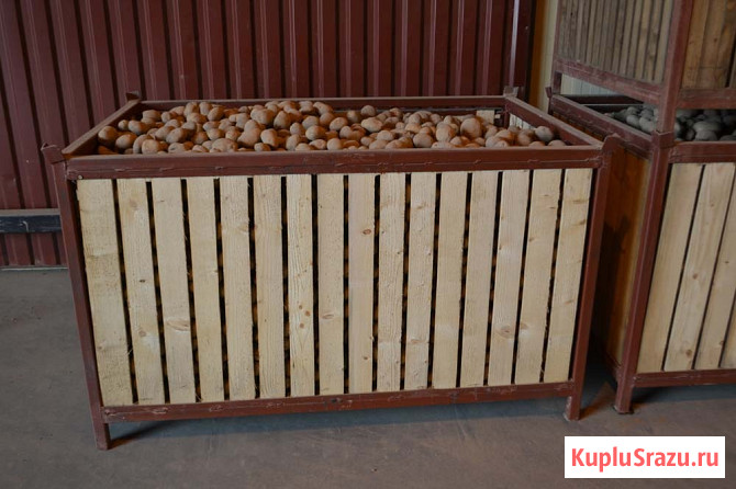 Контейнер для хранения картофеля и других корнеклубнеплодов емкостью 1000 кг Волгоград - изображение 1