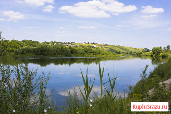 Участок ИЖС 4000 сот. на продажу в Туле Тула - изображение 2