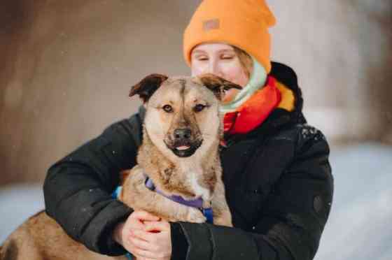 Сади, собака-подросток, которая не умеет любить вполсилы Москва