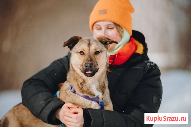 Сади, собака-подросток, которая не умеет любить вполсилы Москва - изображение 1