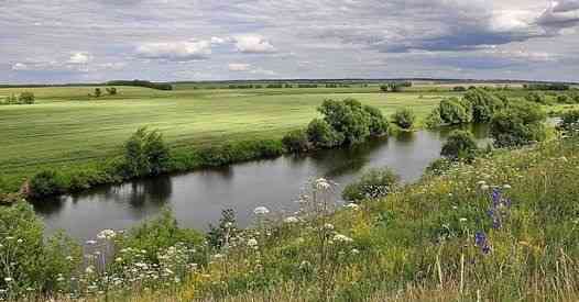 Участок ИЖС 4884 сот. на продажу в Туле Тула