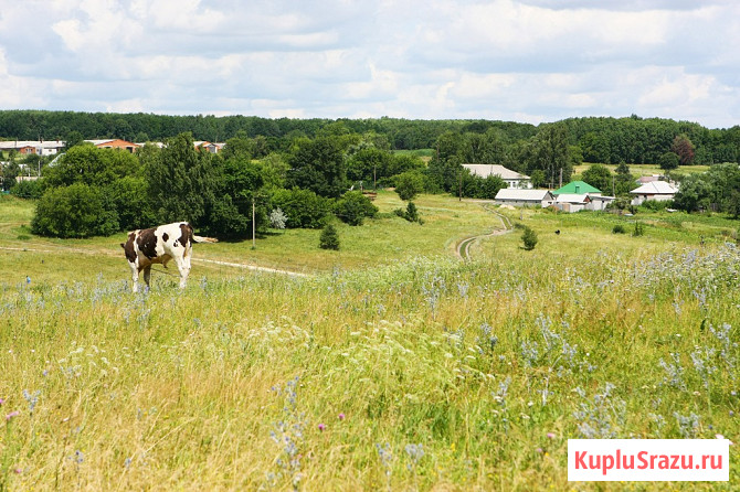 Участок ИЖС 4884 сот. на продажу в Туле Тула - изображение 3