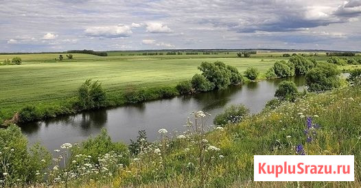 Участок ИЖС 4884 сот. на продажу в Туле Тула - изображение 5