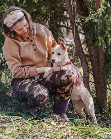 Бесподобный домашний щенок Пилот ищет дом Москва