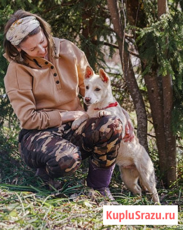 Бесподобный домашний щенок Пилот ищет дом Москва - изображение 3