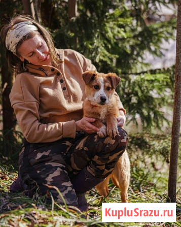 Милейшая Дива, домашняя девочка-щенок ищет дом Москва - изображение 3