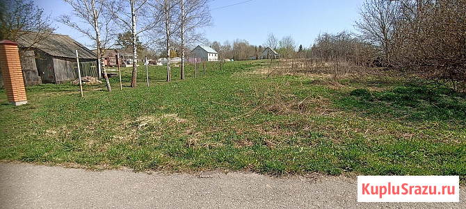 Участок ИЖС 10 сот. на продажу в Починке Починок - изображение 1
