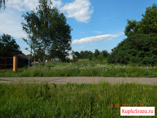 Участок ИЖС 10 сот. на продажу в Починке Починок - изображение 5