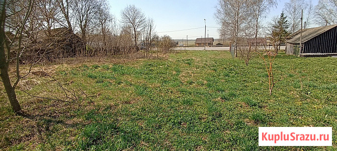 Участок ИЖС 10 сот. на продажу в Починке Починок - изображение 4