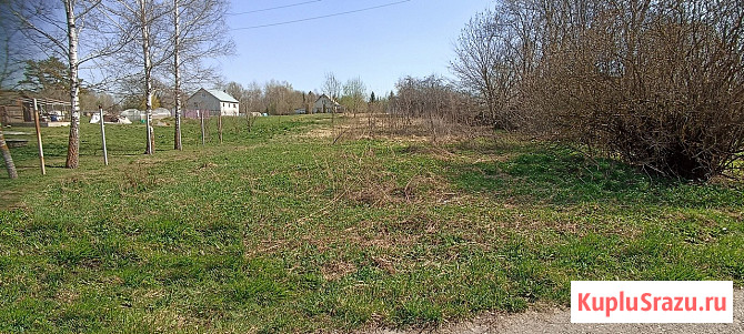 Участок ИЖС 10 сот. на продажу в Починке Починок - изображение 2