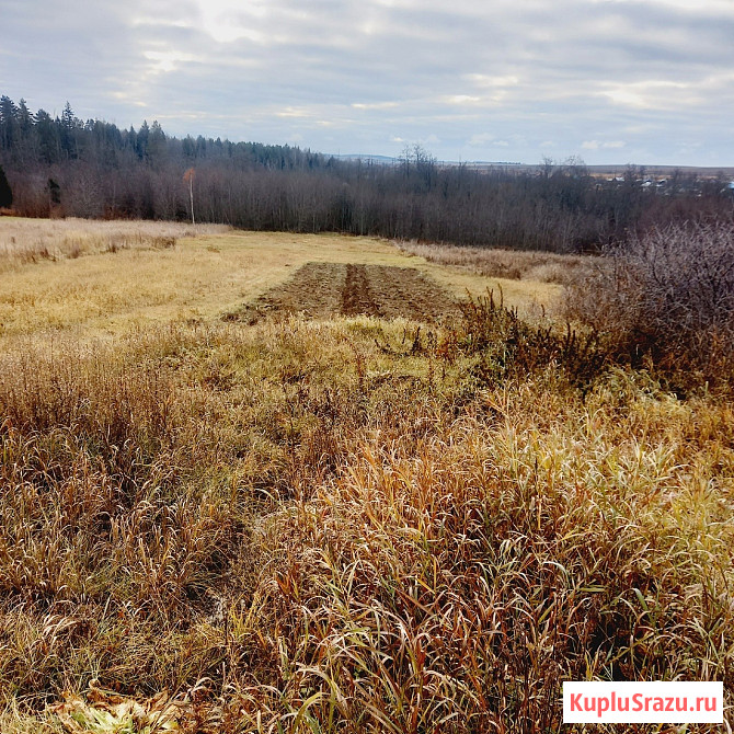 Участок ИЖС 17 сот. на продажу в Ижевске Ижевск - изображение 3