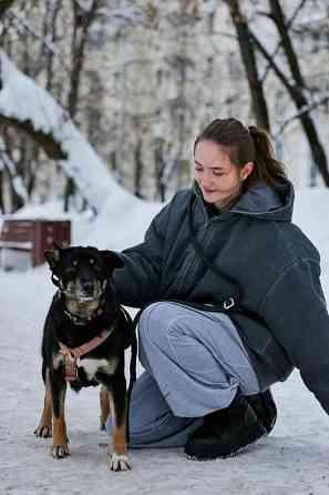 Вива – не помнящая зла Москва