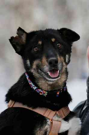 Вива – не помнящая зла Москва