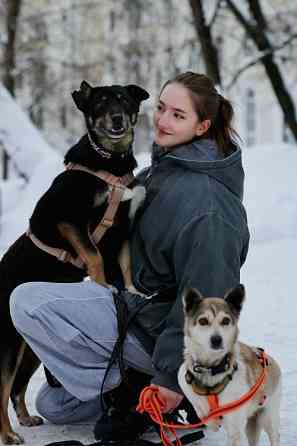 Вива – не помнящая зла Москва