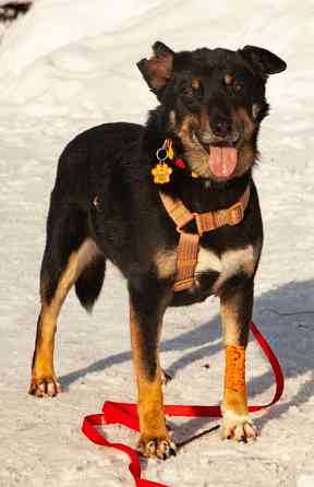 Вива – не помнящая зла Москва