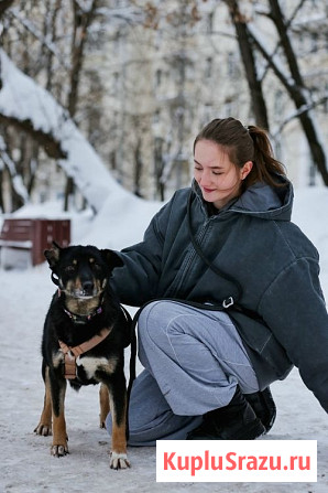 Вива – не помнящая зла Москва - изображение 4