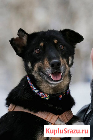 Вива – не помнящая зла Москва - изображение 2