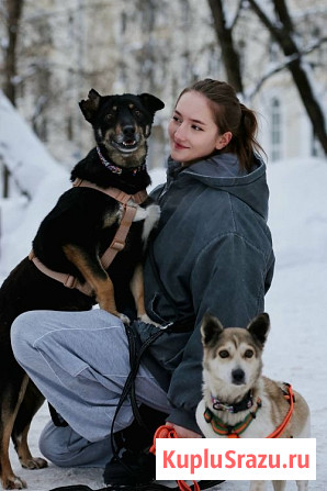 Вива – не помнящая зла Москва - изображение 3