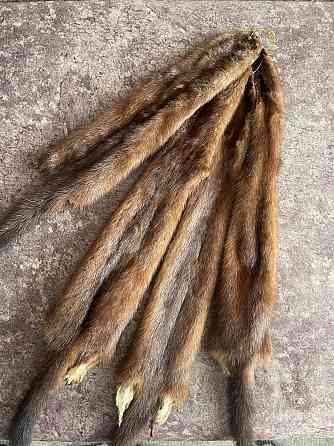 Шкуры норки выделанные Промышленная