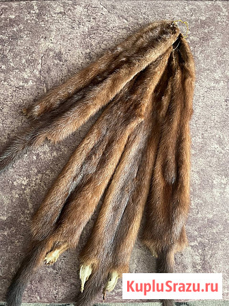 Шкуры норки выделанные Промышленная - изображение 1