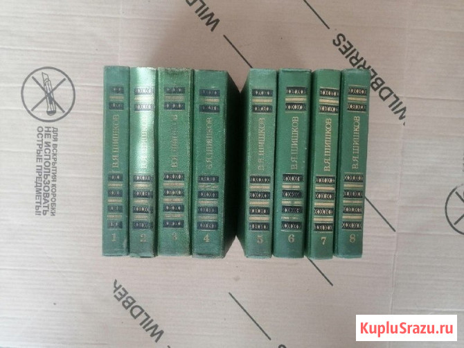 Вячеслав Шишков Промышленная - изображение 1