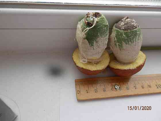 Ёлочная игрушка, гриб СССР 