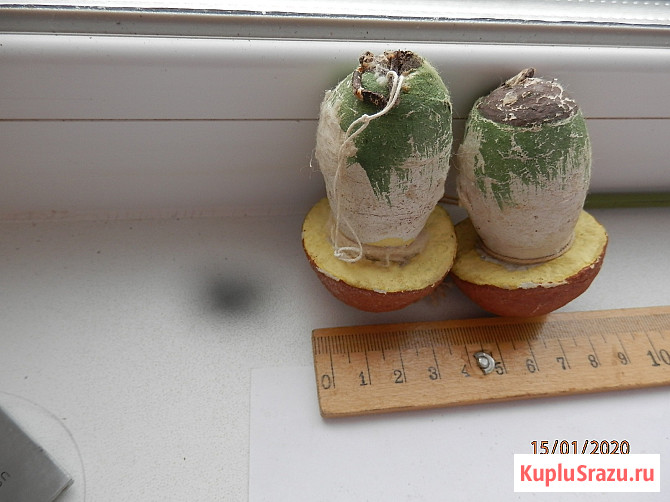 Ёлочная игрушка, гриб СССР  - изображение 2