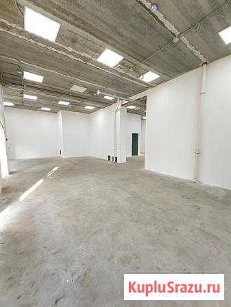 Помещение 140 м², два зала Красноярск - изображение 4