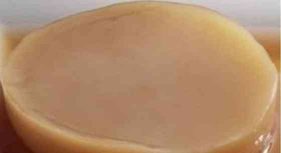 Блинчик для приготовления напитка чайный гриб камбуча Сыктывкар