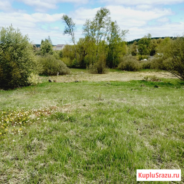 Участок ИЖС 17.5 сот. на продажу в Ижевске Ижевск - изображение 4