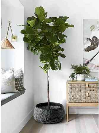 Большие вазоны для цветов уличные Казань