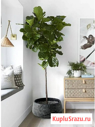 Большие вазоны для цветов уличные Казань - изображение 1