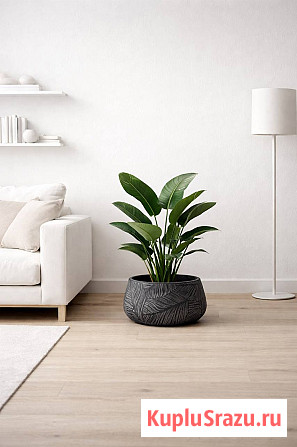 Большие вазоны для цветов уличные Казань - изображение 3