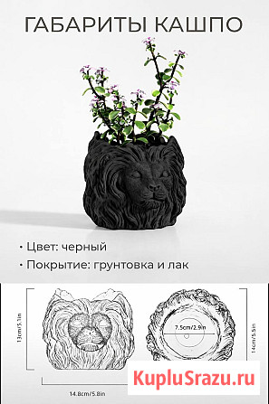 Кашпо (горшок) из бетона Лев Казань - изображение 4