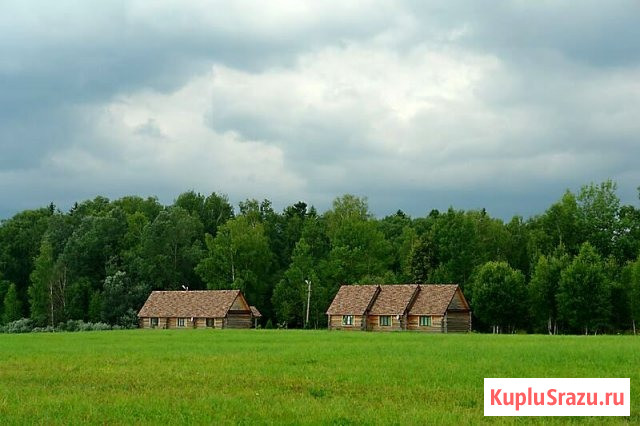Встречаем лето в агрокомплексе “Ваньково” Можайск - изображение 1