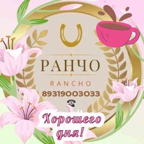 Куры несушки молодки, Цыплята, Петухи Псков
