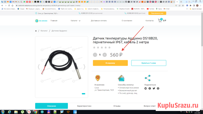 Датчик температуры DS18B20 Сочи - изображение 4