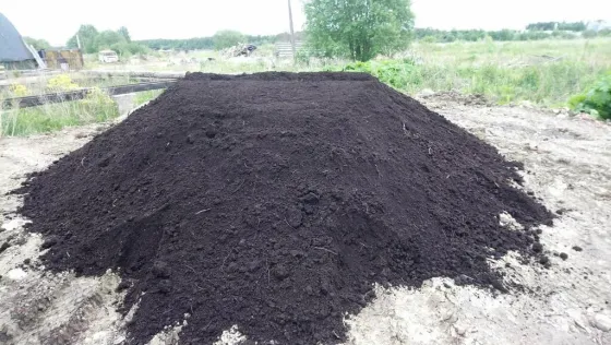 Доставка чернозёма (плодородной земли) по Архангельской области Архангельск