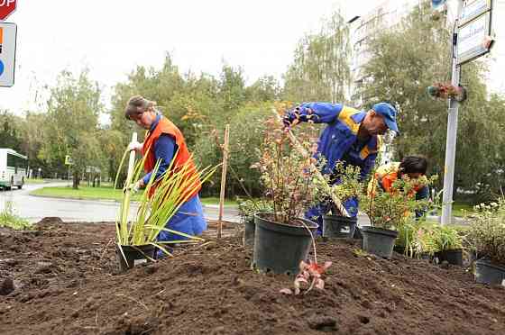 Комплексное благоустройство и озеленение — создаём ландшафты вашей мечты Архангельск