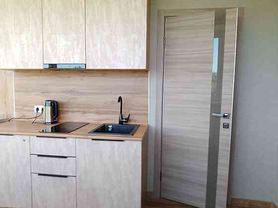 Квартира-студия, 24.9 м², 4/17 эт. в аренду посуточно в Королеве Королев