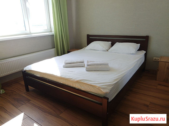 Квартира-студия, 24.9 м², 4/17 эт. в аренду посуточно в Королеве Королев - изображение 1